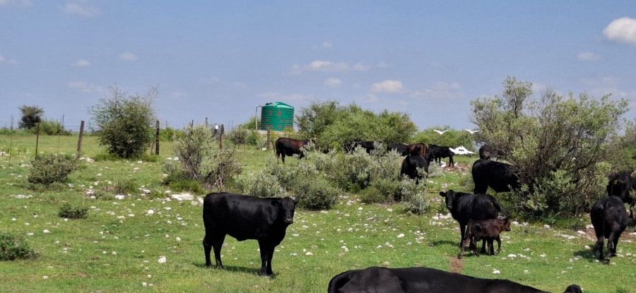 4 Bedroom Property for Sale in Jan Kempdorp Rural Northern Cape